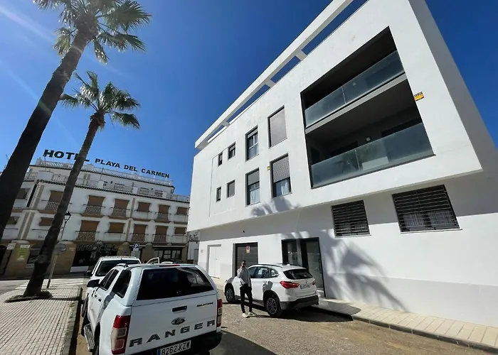 Sardina